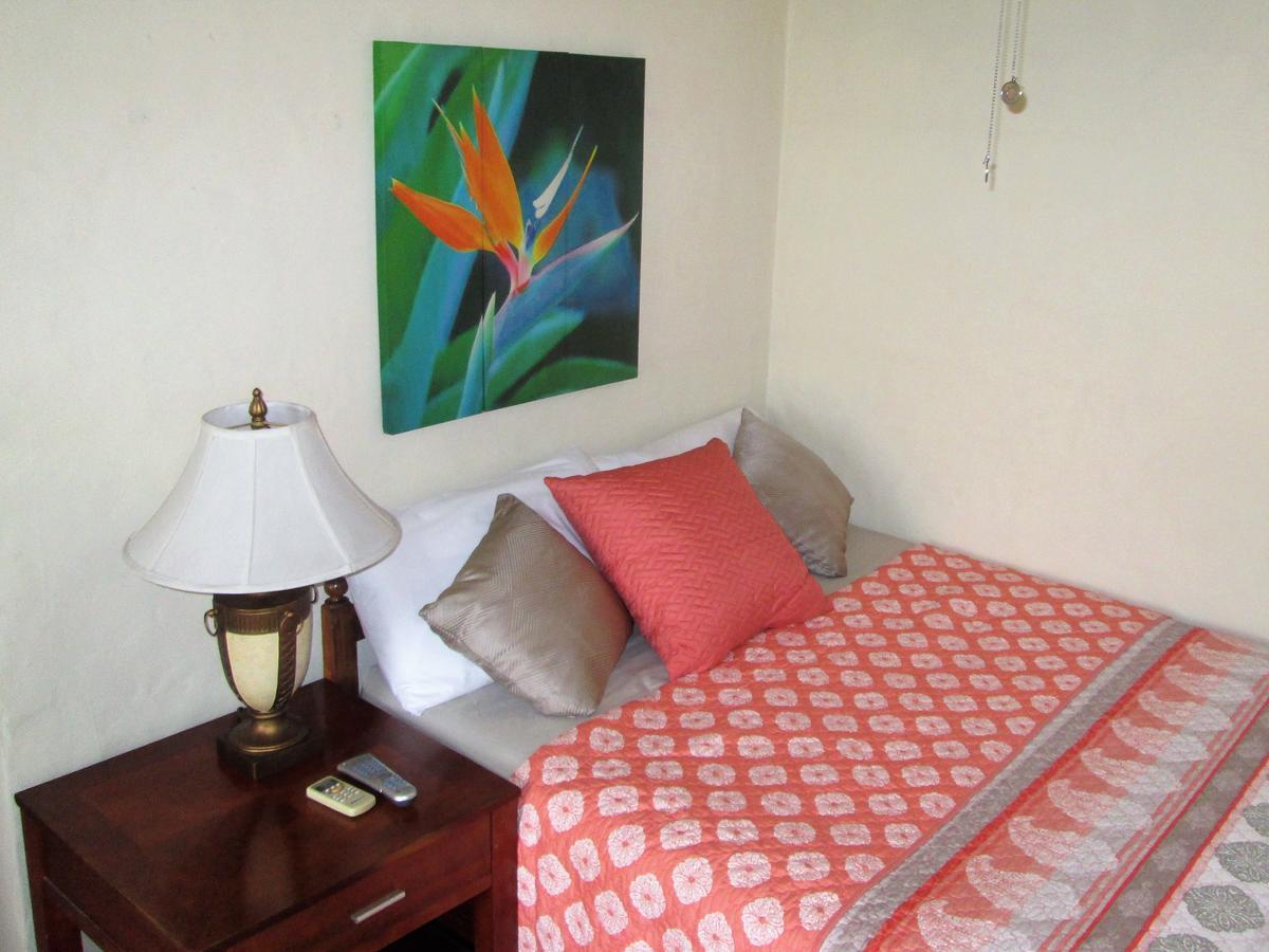 Hotel San Mateo 圣萨尔瓦多 外观 照片